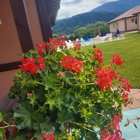 вилен комплекс дарибел * Saparewa Banja