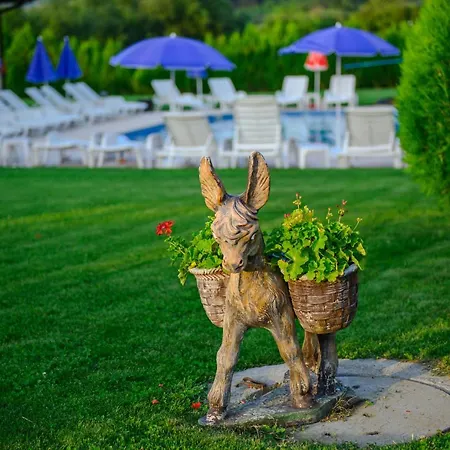 вилен комплекс дарибел Parc de vacanță