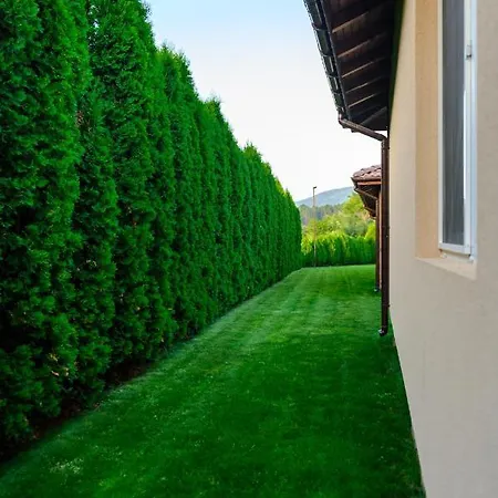 вилен комплекс дарибел * Saparewa Banja