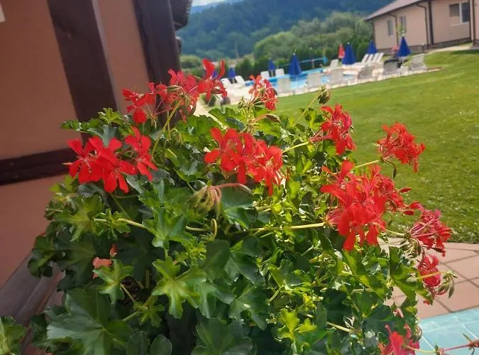 вилен комплекс дарибел * Sapareva Banya