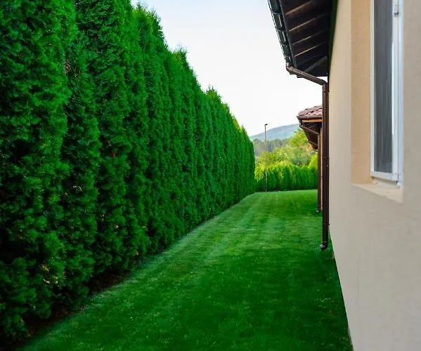 вилен комплекс дарибел * Сапарева Баня