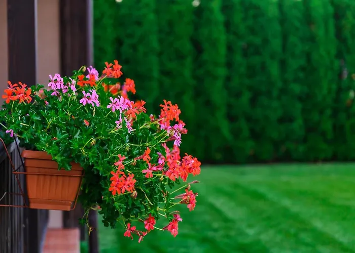 вилен комплекс дарибел Сапарева Баня